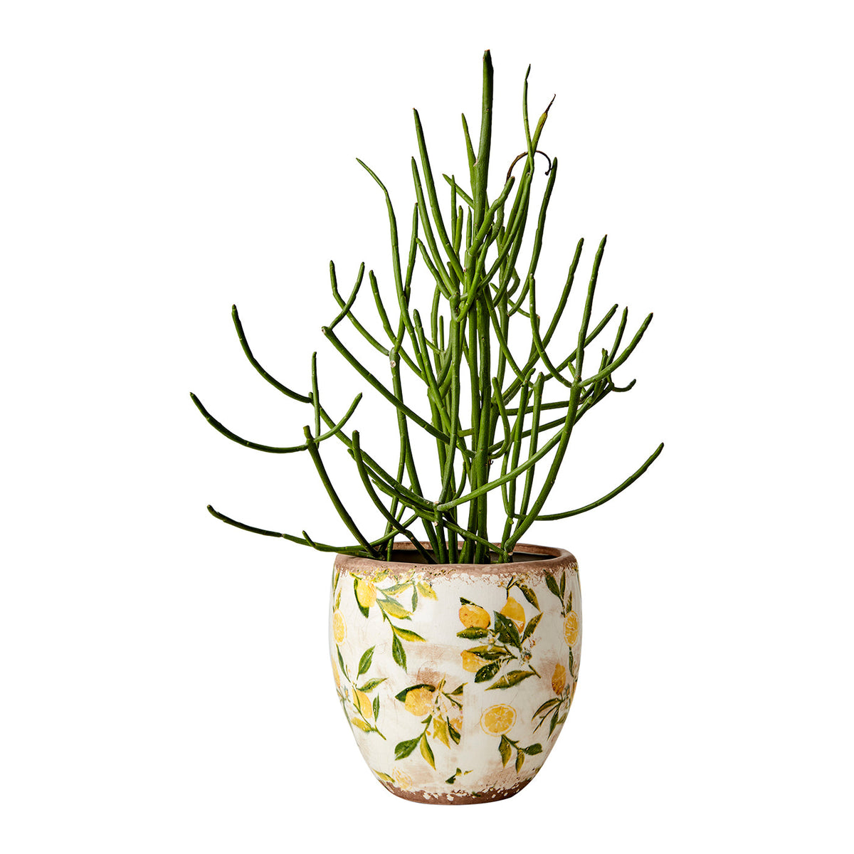 Maceta LEMONA Blanco/Verde/Amarillo H:17 cm