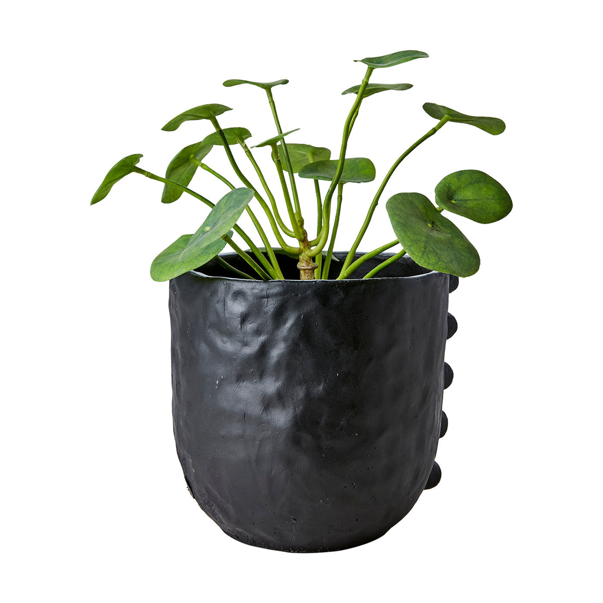 Maceta Camille L, Negro, Ø22xH18 cm