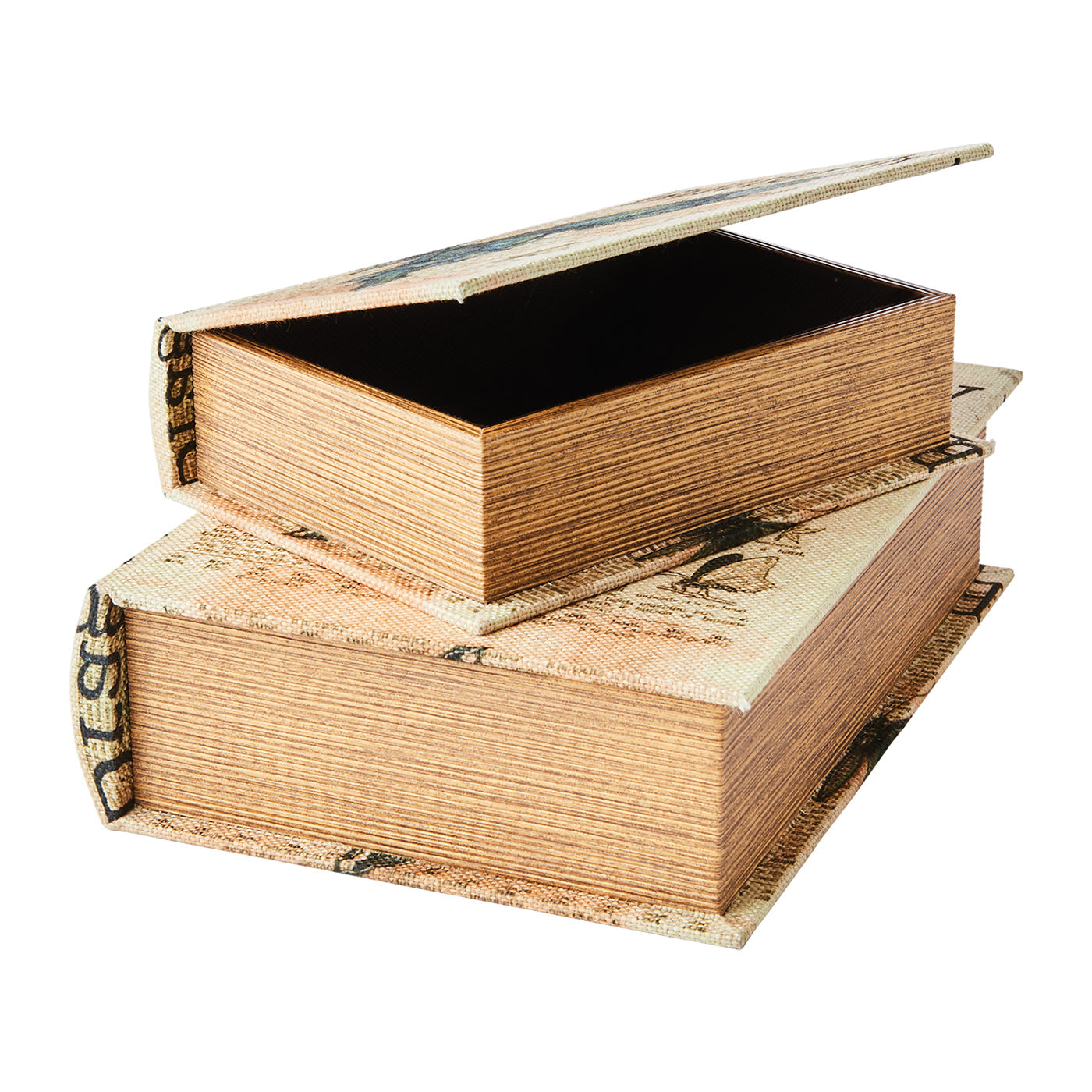 Caja BROOKE Libro Mariposa Small