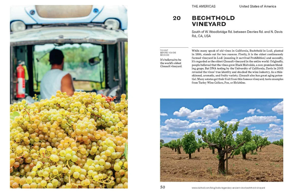 Libro 150 Vineyards