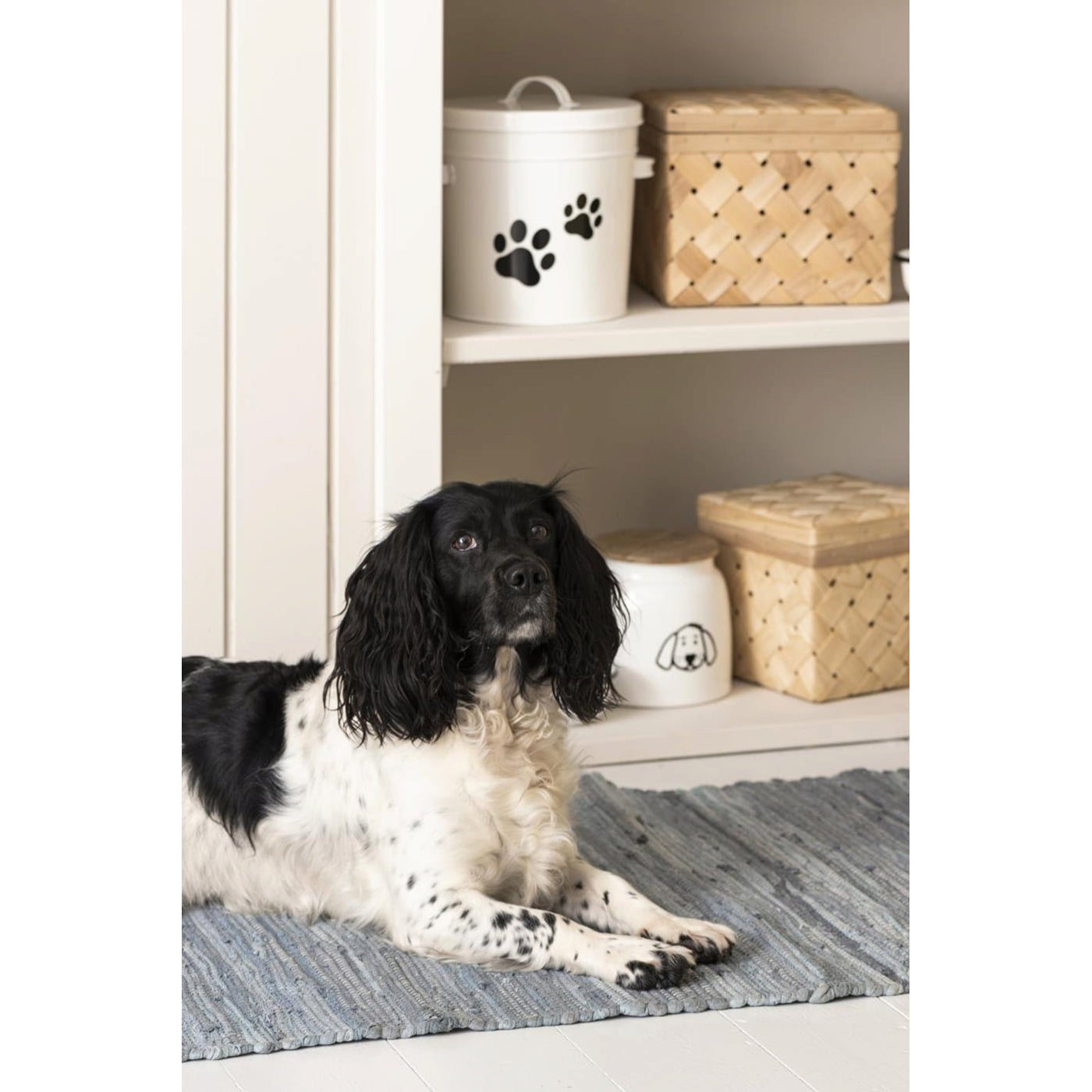 Frasco Comida para Perro con Tapa de Madera 2.2 lt.