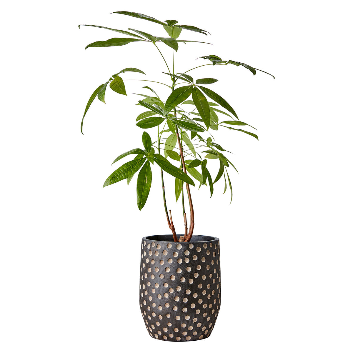 Maceta CAMILLE M, Negro/ Marrón H:24cm