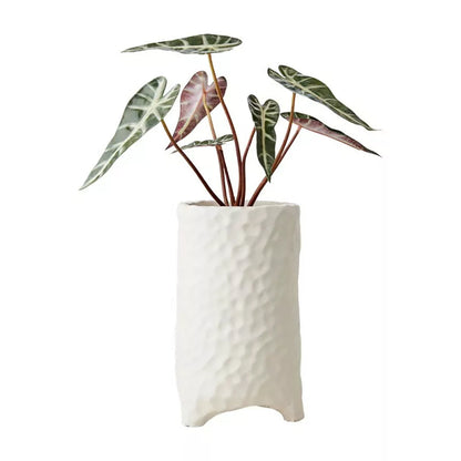 Maceta M, Blanco crudo CREAM, Ø14xH24 cm