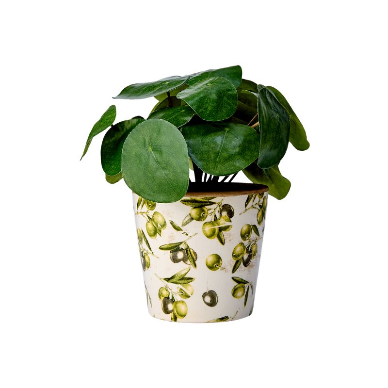 Maceta OLIVE Blanco/Verde, Ø10/14xH13 cm