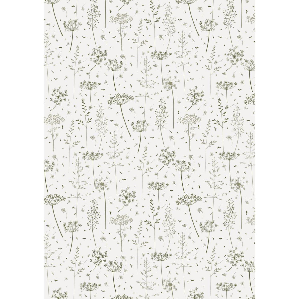 Papel de regalo Diseño Green Grass y Umbelas Rollo 5 mt