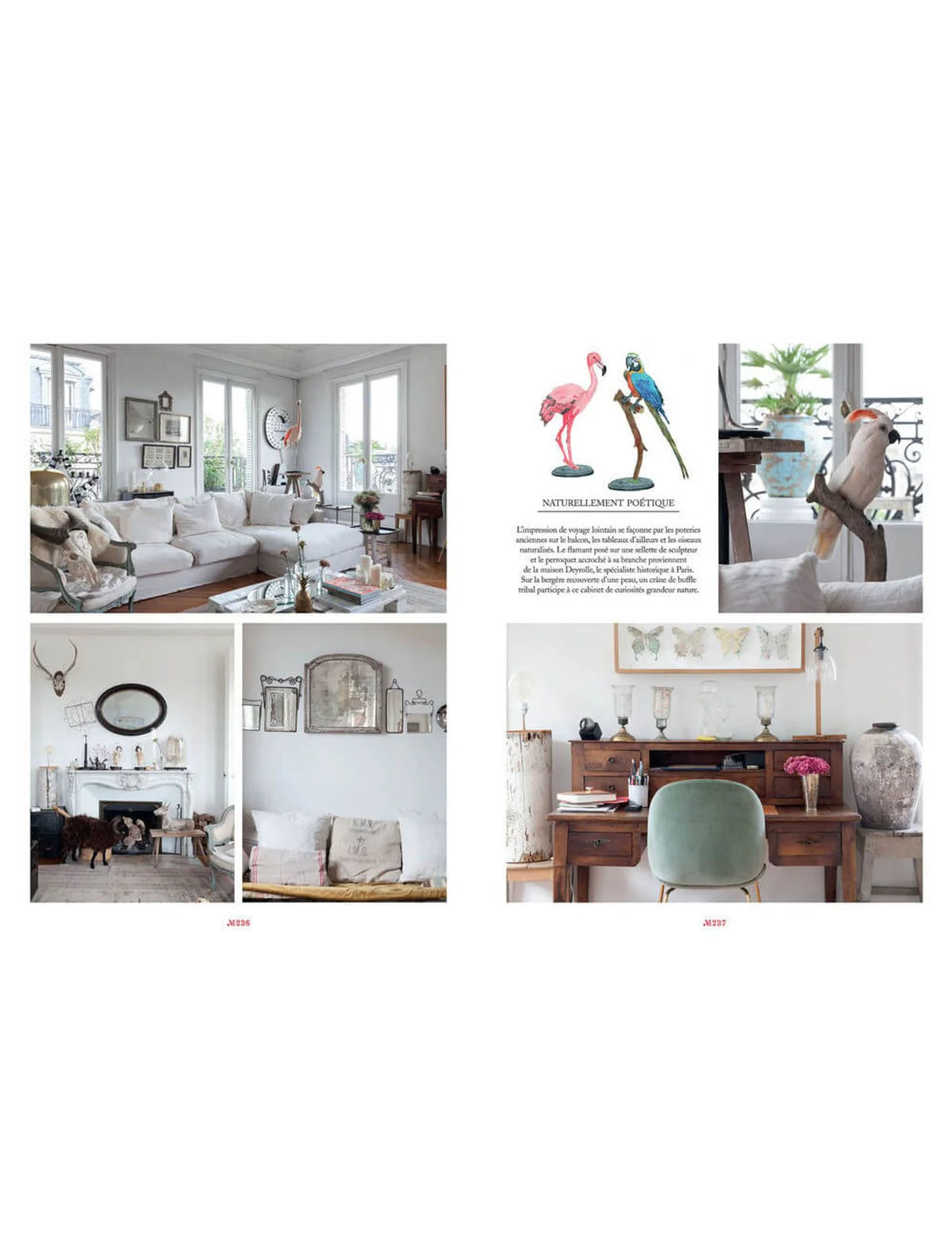 Libro Maison - Parisian Chic at Home
