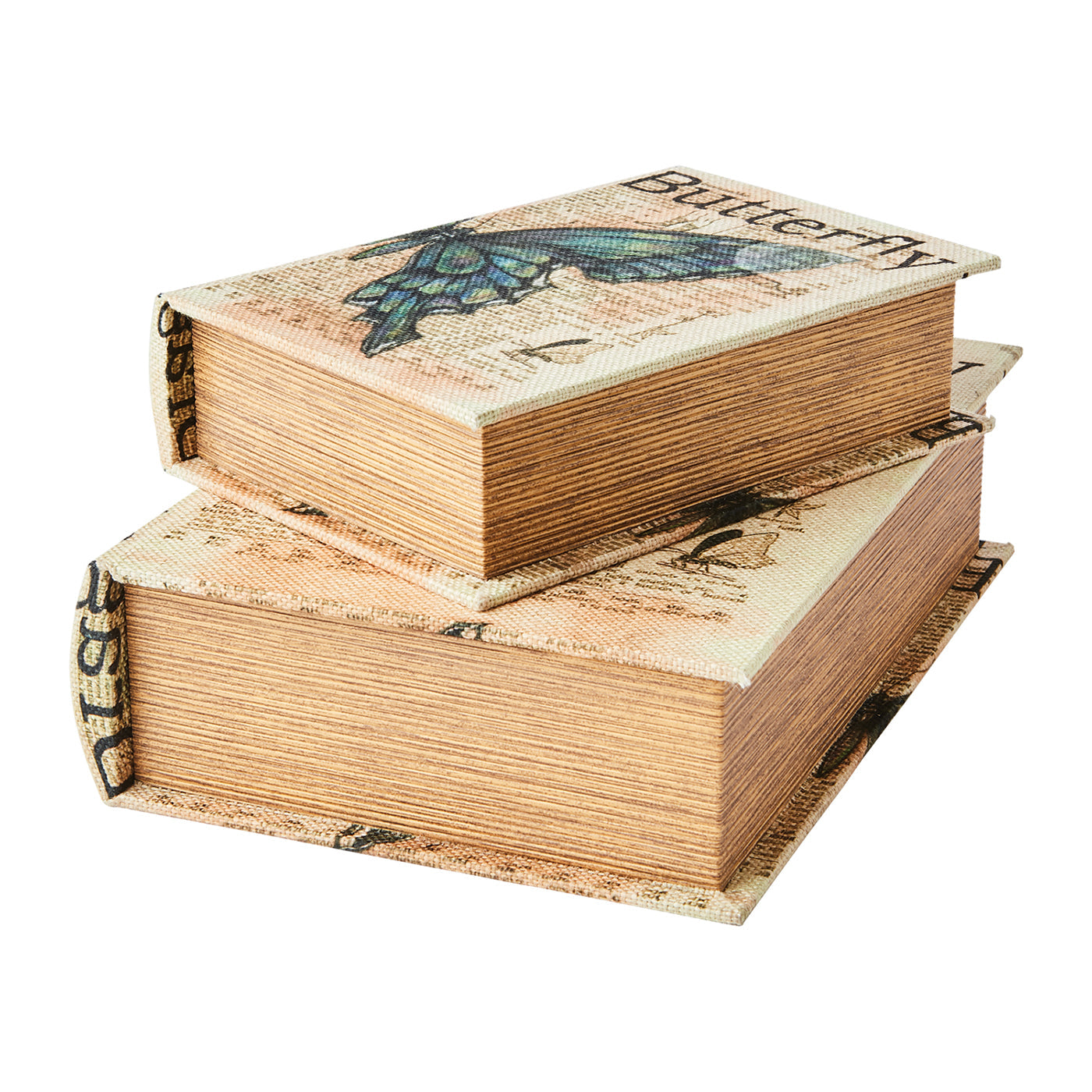 Caja BROOKE Libro Mariposa Small