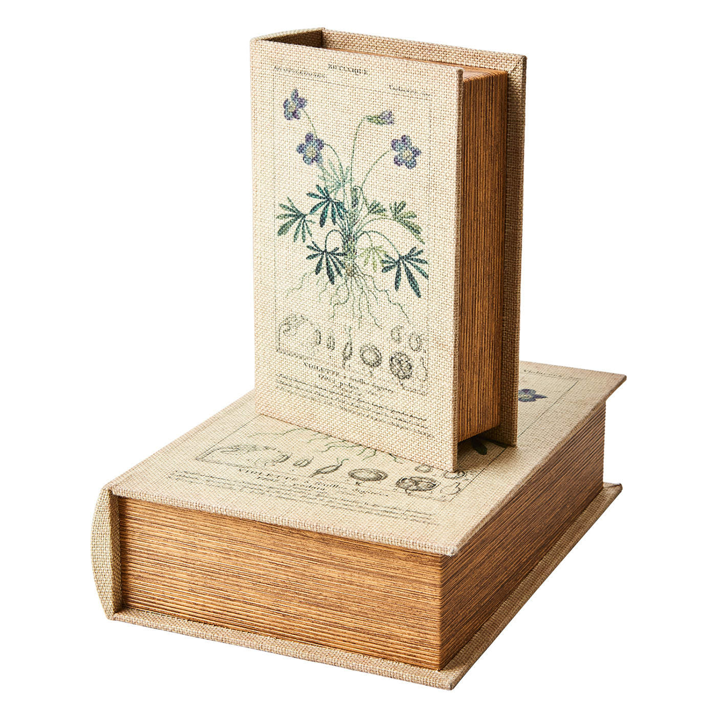 Caja Brooke Natural II Medium