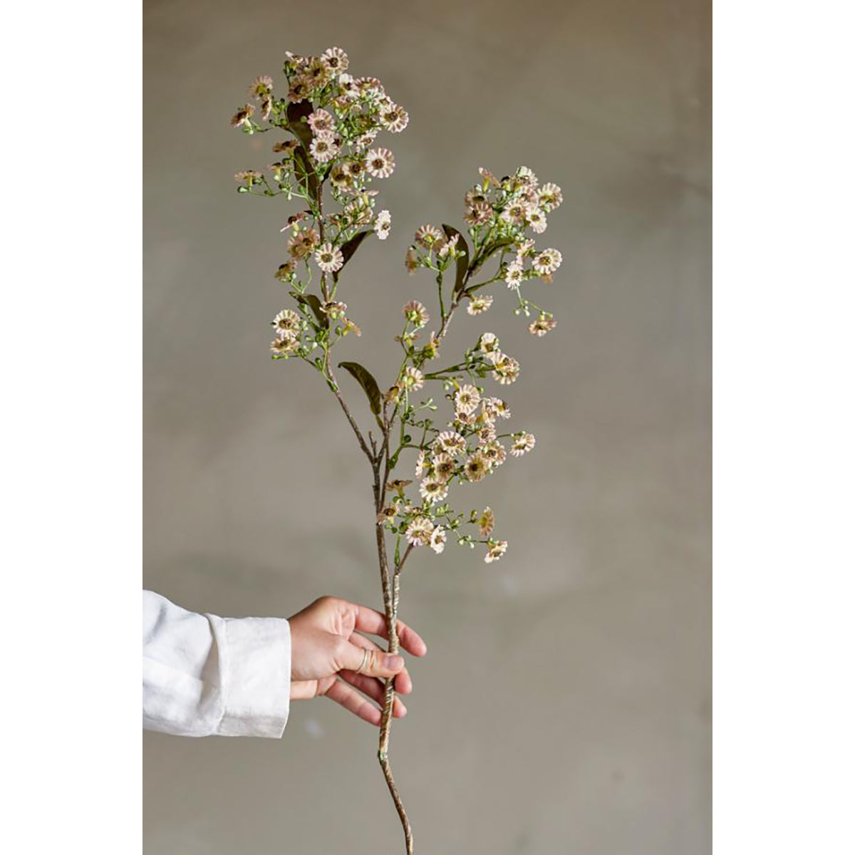 Flores Stern Blancas, Ø15xH91 cm