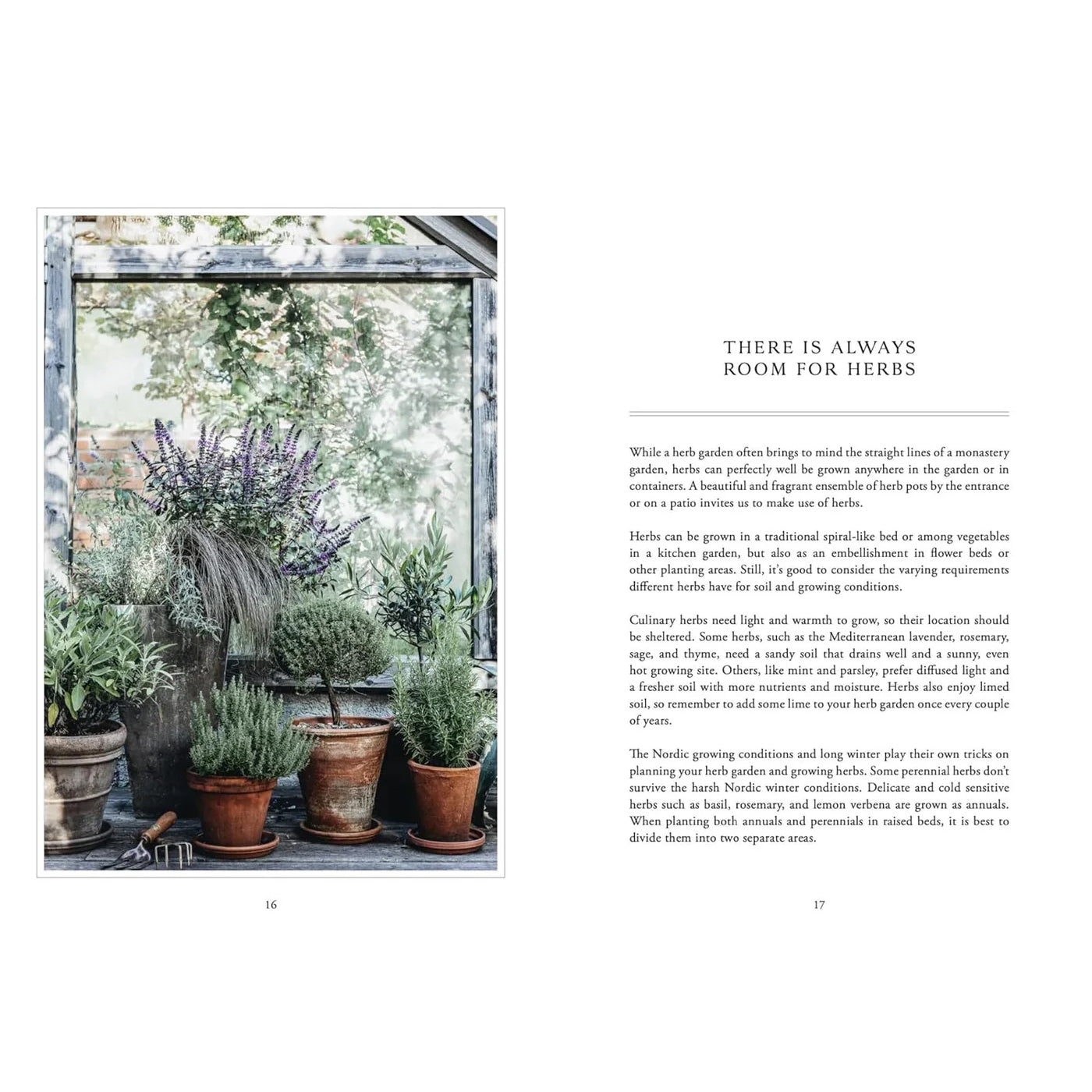 Libro Living with Herbs