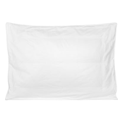 Almohada de Seda Mulberry