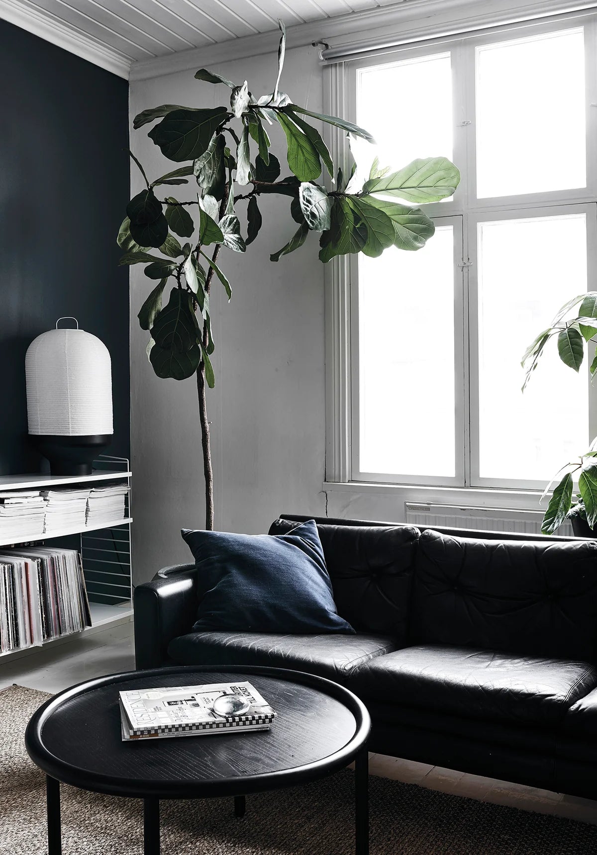 Libro Green Home Book