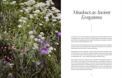 Libro Where Flowers Bloom