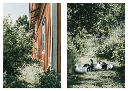 Libro Nordic Homestead