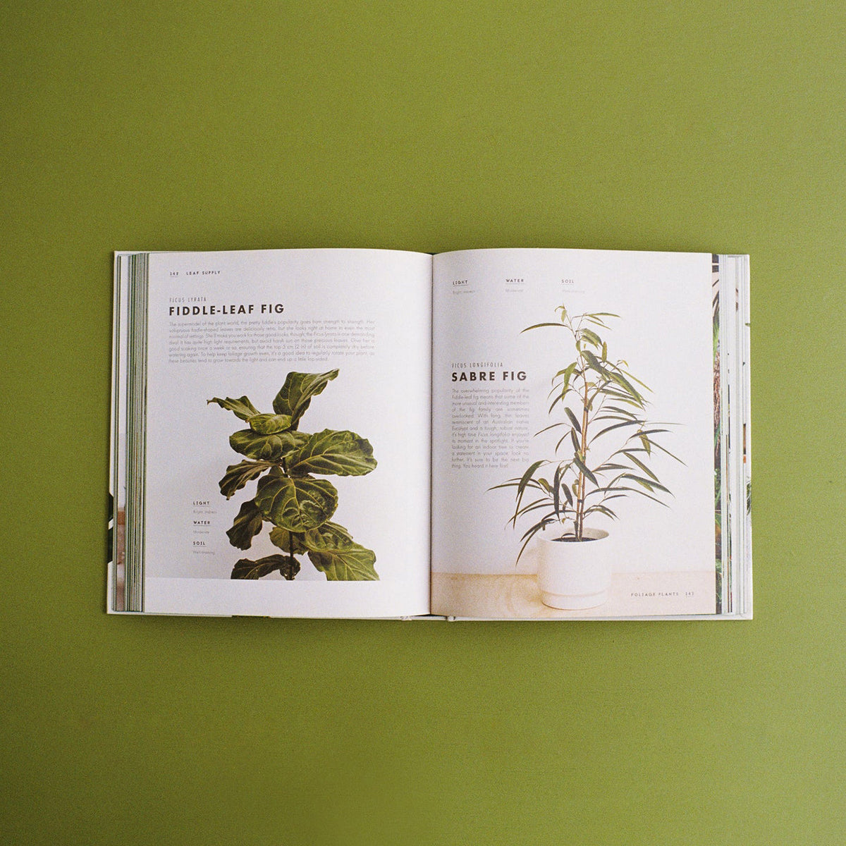 Libro Leaf Supply
