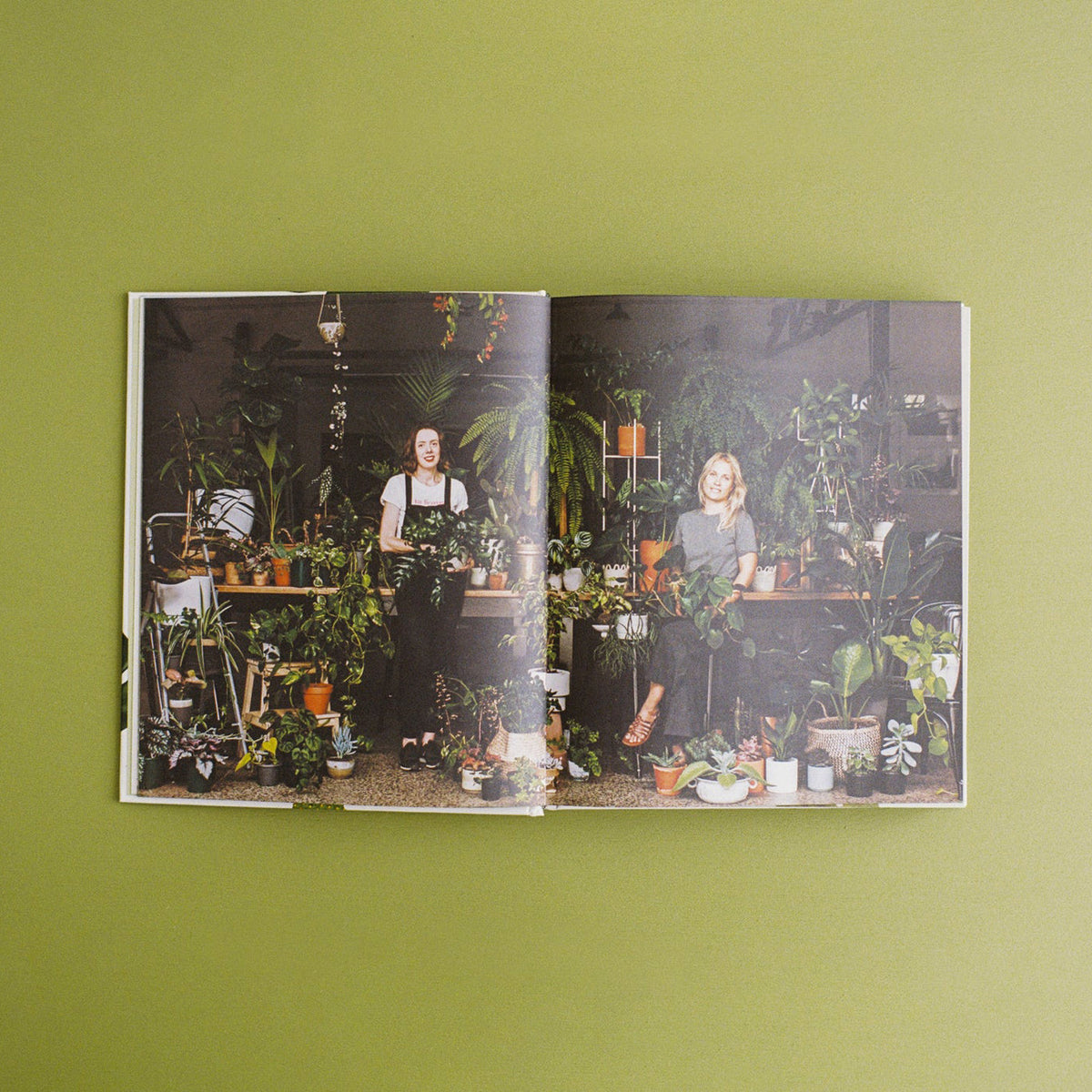 Libro Leaf Supply
