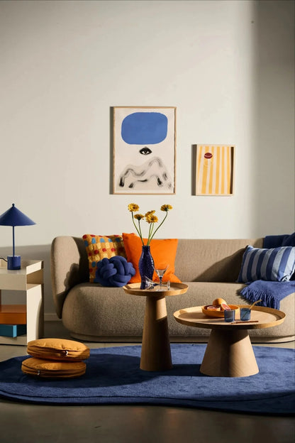 Libro Vibrant Interiors