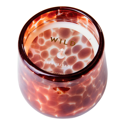 WILD Velas aromáticas Citrus & sage, Marrón